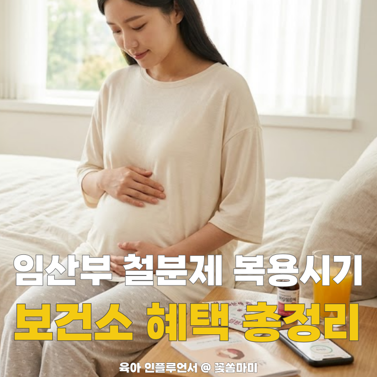 임산부 철분제 복용 시기 언제부터? 보건소 철분제 신청 및 수령방법