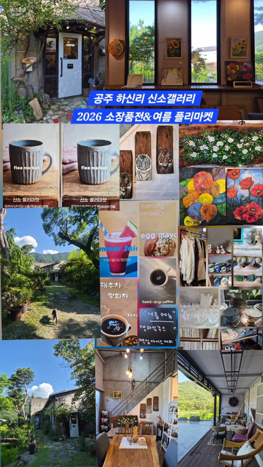 신소갤러리 사진 2