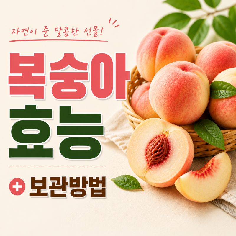 복숭아 보관법 이렇게 하세요! 놀라운 효능까지,달콤한 맛을 오래 유지하기
