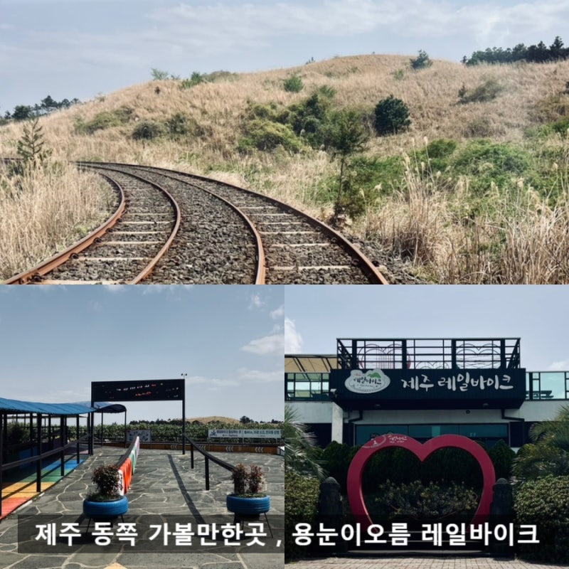 제주 동쪽 가볼만한곳 , 용눈이오름 레일바이크 할인받는방법