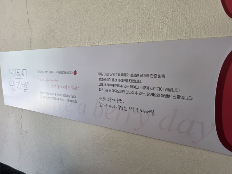 딸기밭 사진 5