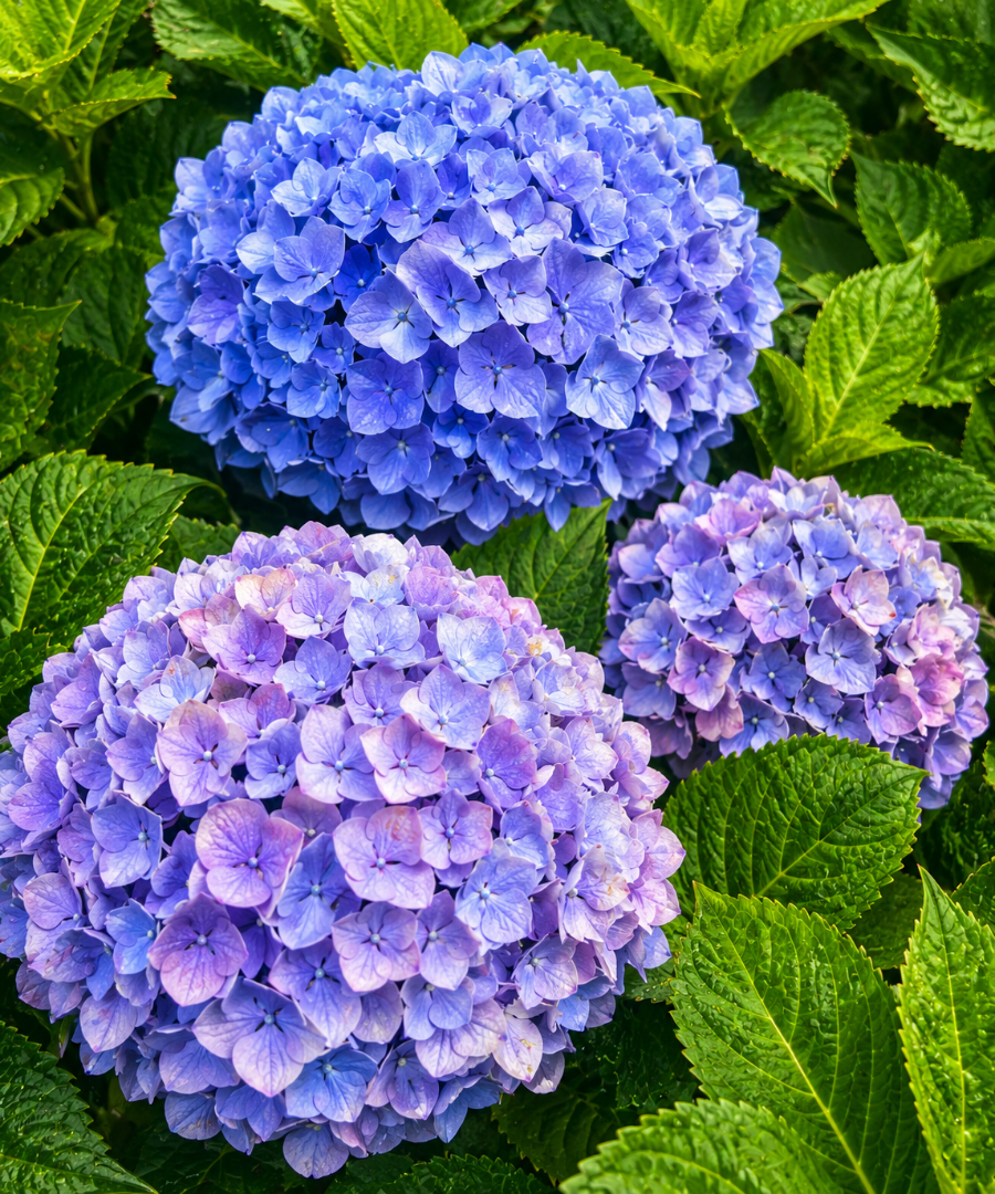 남산 사진 6