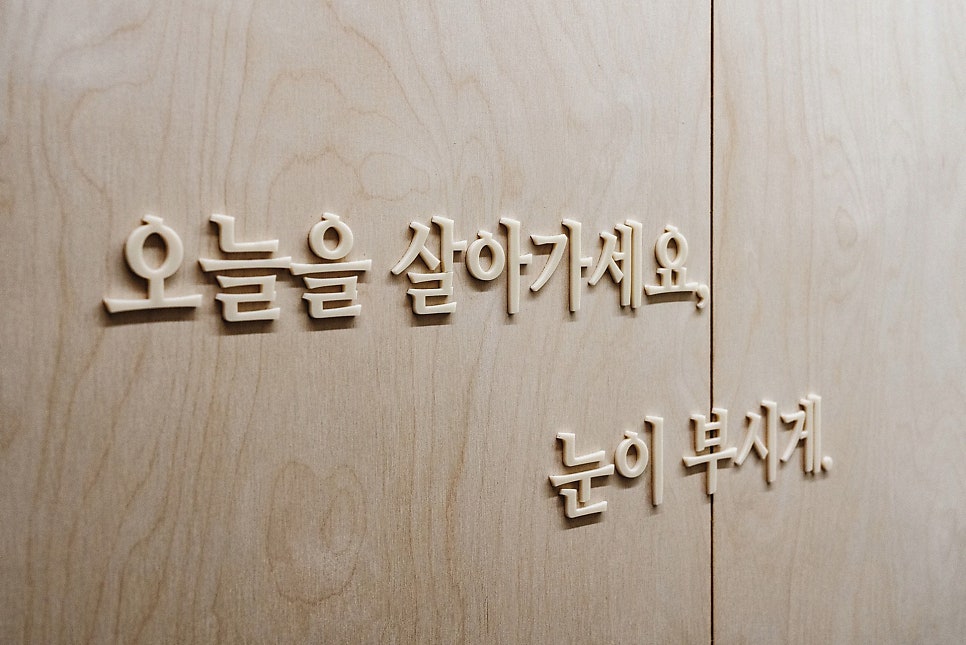 헤윰,소 사진 6