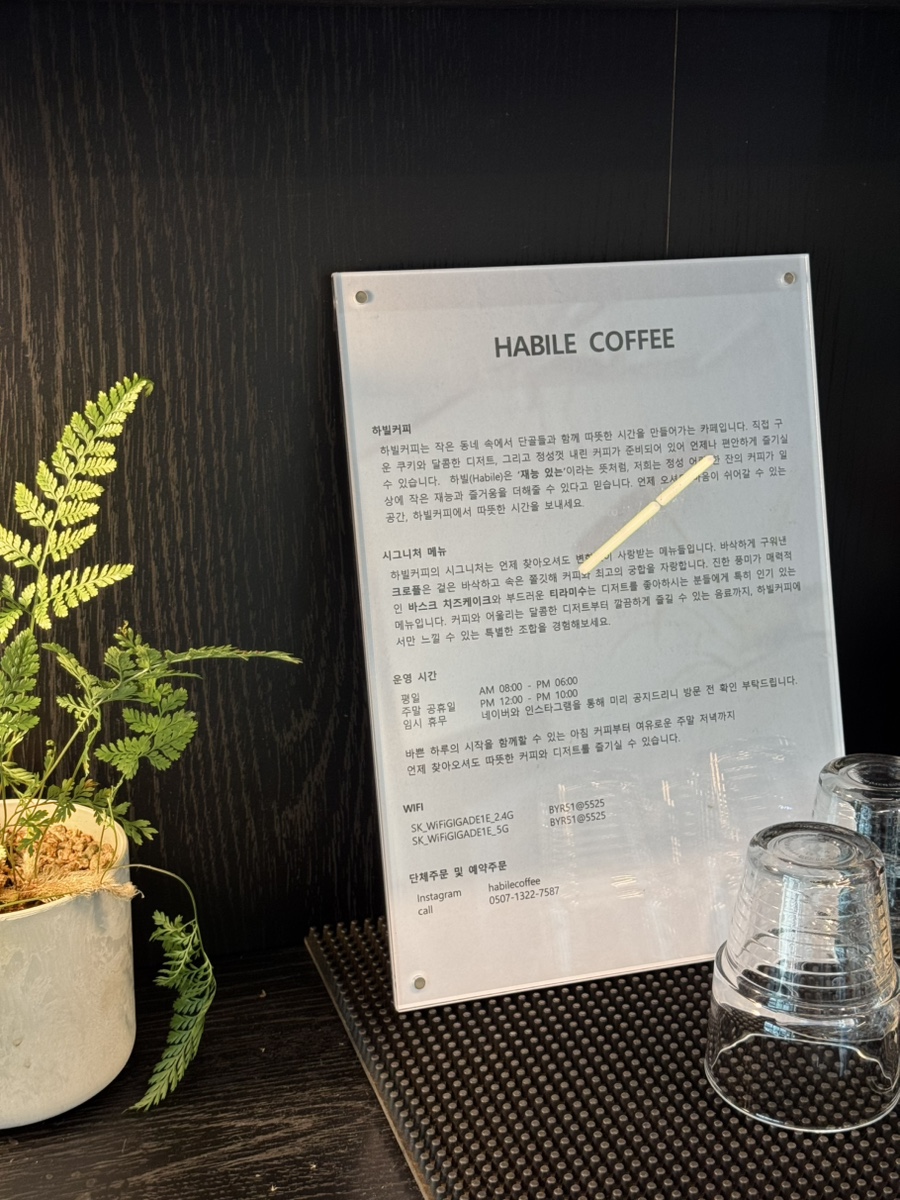 카페 양 말 사진 4
