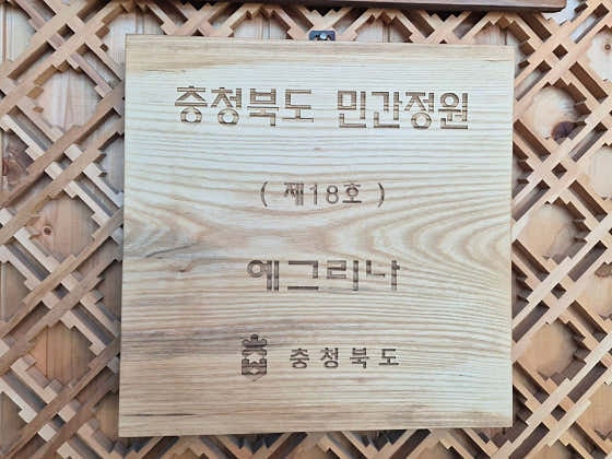 예그리나 사진 6