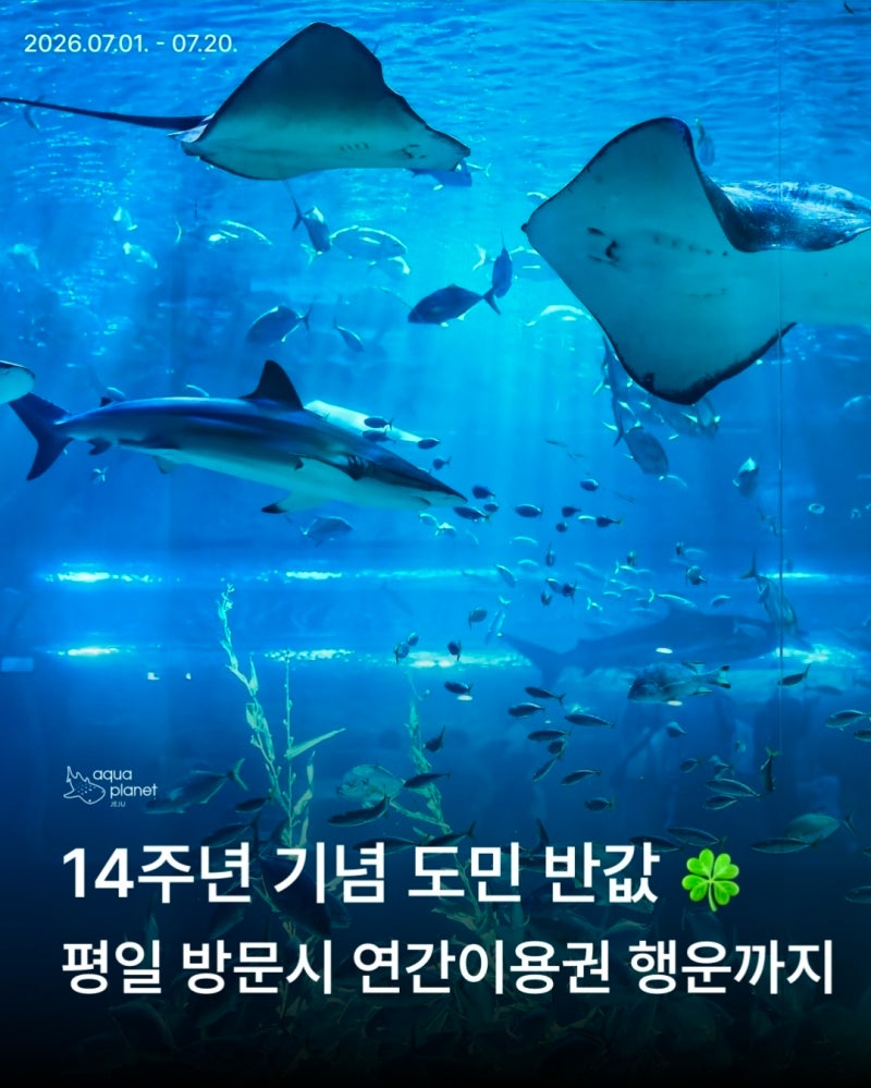 제주 아쿠아플라넷 도민할인 50% 반값 혜택과 투명보트 이용 꿀팁 정리