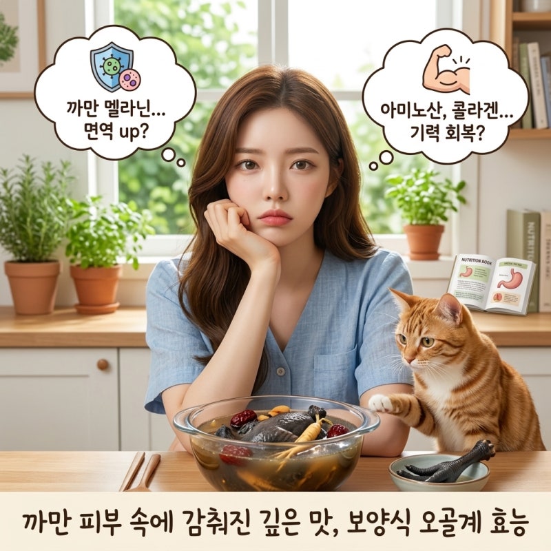 까만 피부 속에 감춰진 깊은 맛, 보양식 오골계 효능