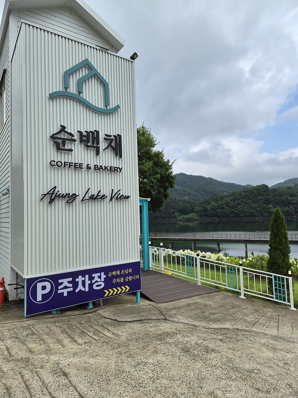 순백채 사진 3