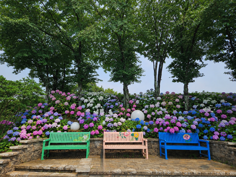 남산 사진 5