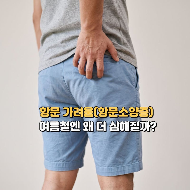 항문 가려움(항문소양증) 원인부터 치료까지, 여름철엔 왜 더 심해질까?