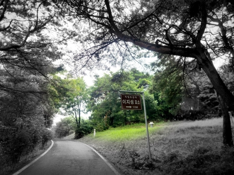 철마산 사진 5