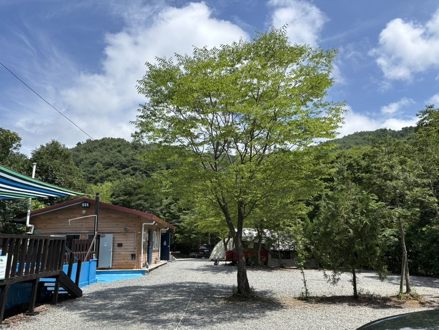 예산느티나무캠핑장 사진 2