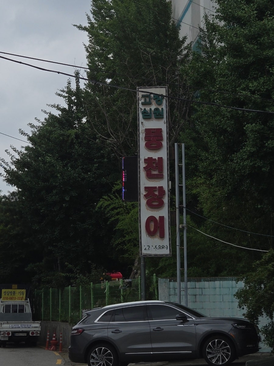 풍천장어 사진 4