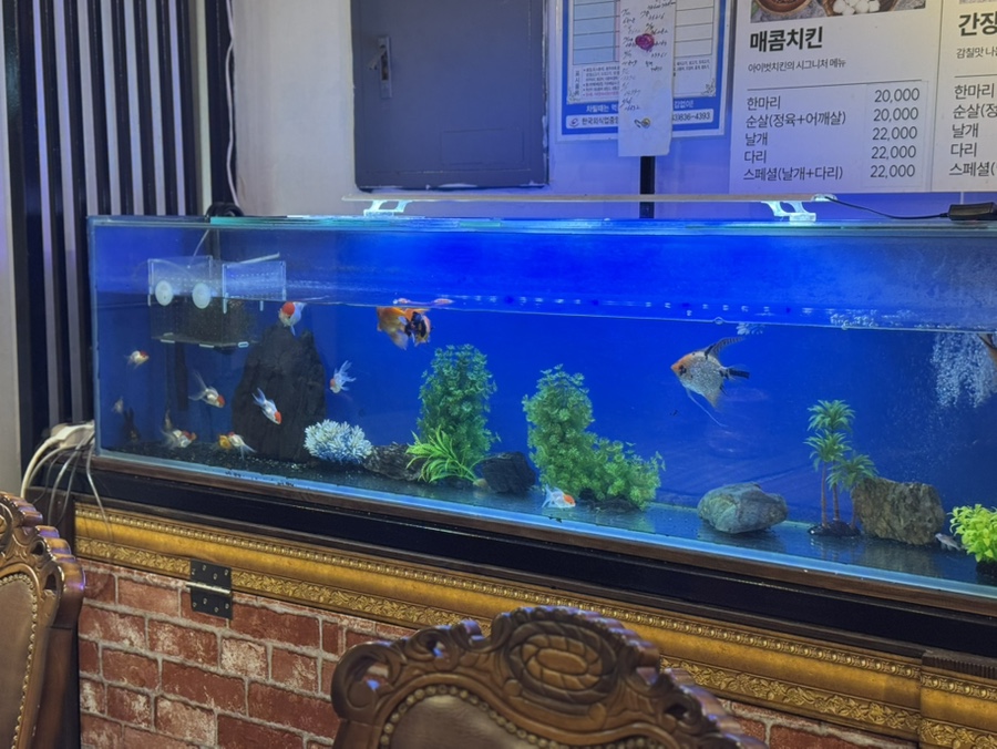아이벗치킨 증평점 사진 3