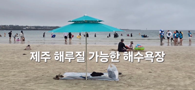 제주 아이와 해루질 가능한 표선해수욕장, 주차 샤워장 파라솔 물때표 총정리