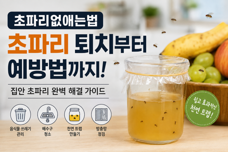 초파리 없애는 법 집안 초파리 퇴치부터 예방법까지 한 번에 해결