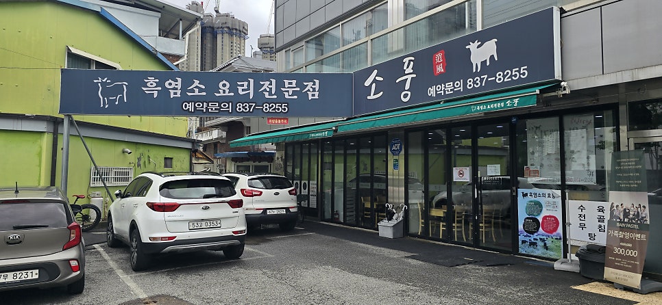 소풍흑염소 사진 1