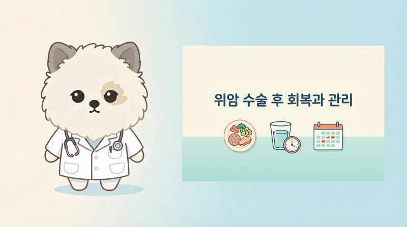 위암 수술 후 관리 총정리, 식사·덤핑증후군·빈혈·추적검사까지 (4편)