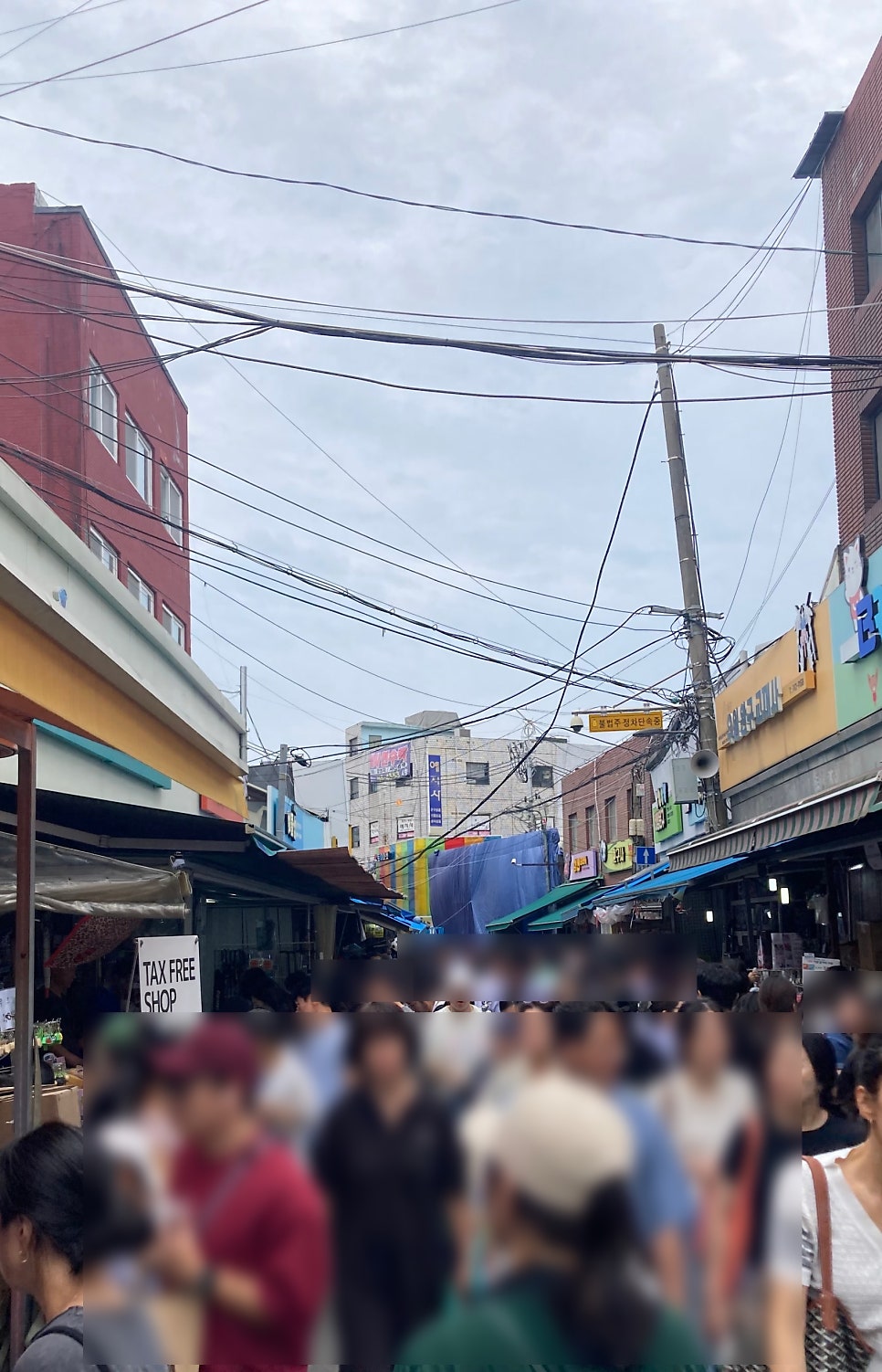 동심 사진 5