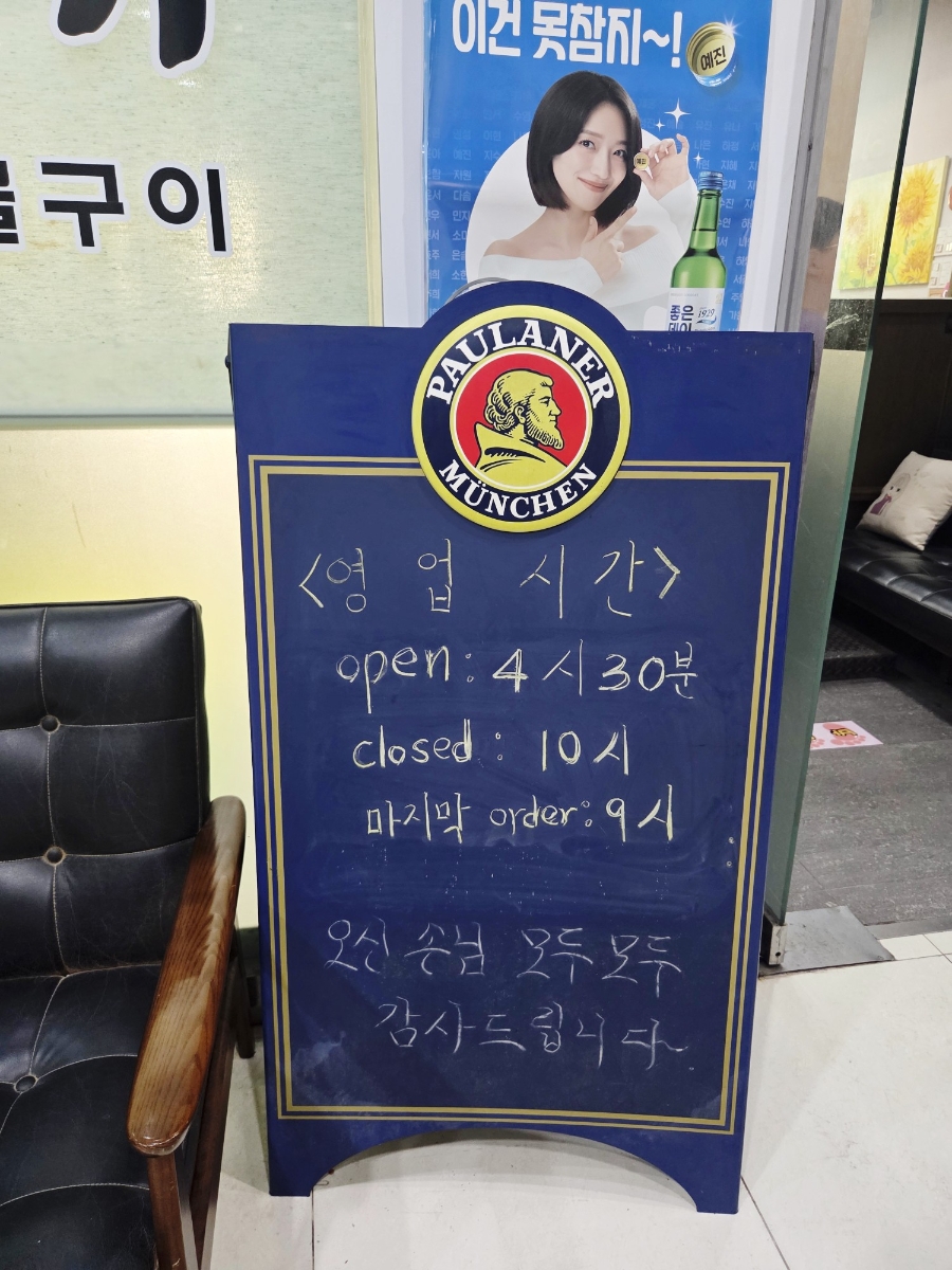 부산갈매기 사진 6