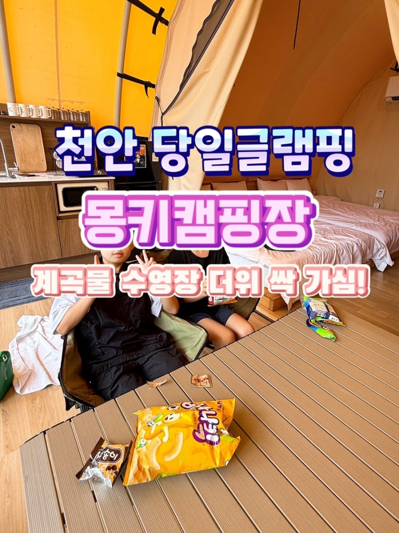(여름 피서지) 천안 당일글램핑 몽키캠핑장 계곡물 수영장에서 더위 날리기!