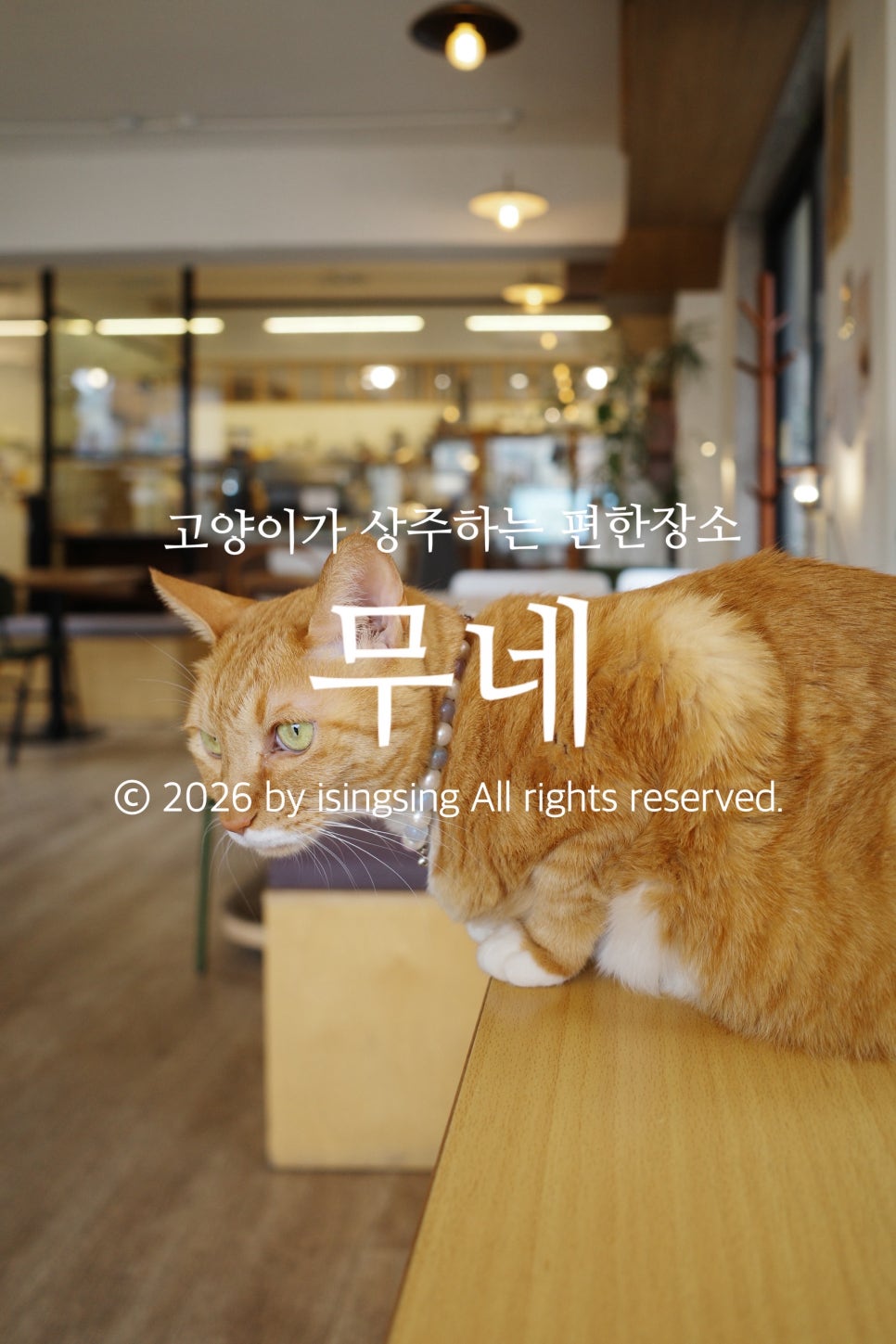 카페무네 사진 1
