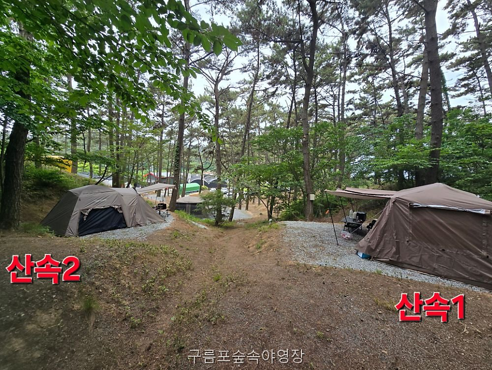 구름포숲속야영장 사진 4