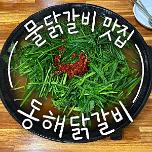 강원도 동해 물닭갈비 맛집! 동해닭갈비 내돈내산 후기✨