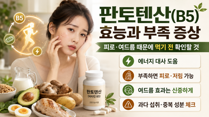 판토텐산(B5) 효능과 부족 증상, 피로·여드름 때문에 먹기 전 확인할 것