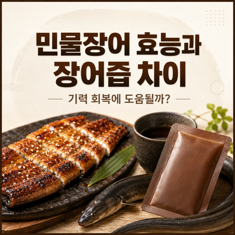 민물장어 효능과 장어즙 차이, 기력 회복에 도움될까?