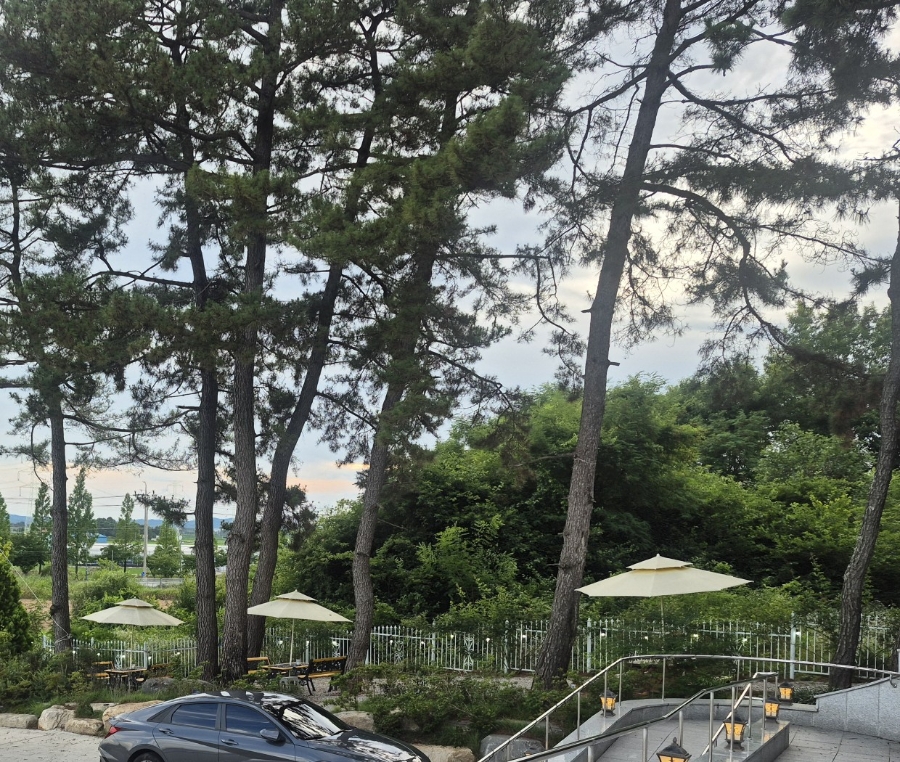 베이커리카페헬로우 사진 4