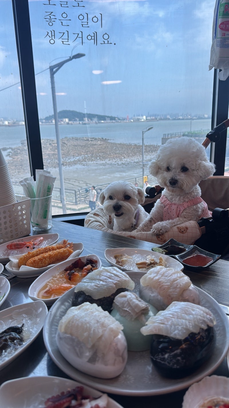 구읍뱃터애견동반 맛집 오션뷰 조개구이가 푸짐한 영종도조개92