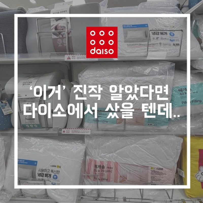 '이거' 진작 알았다면 다이소에서 살걸.. 다이소 베개 종류 알아보기
