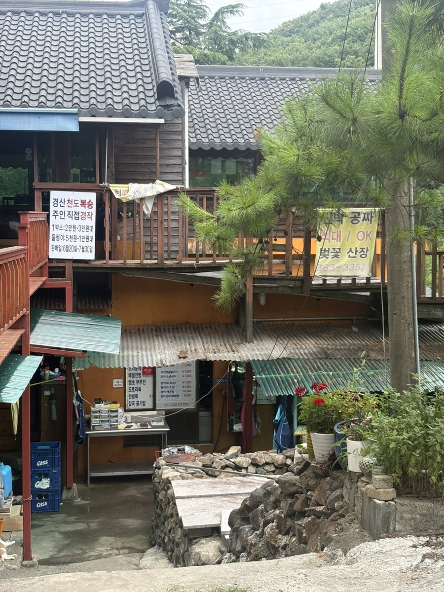 벚꽃산장 사진 5