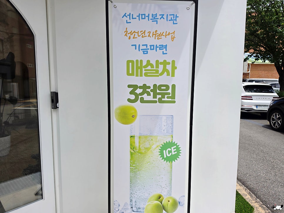 마로안 사진 6