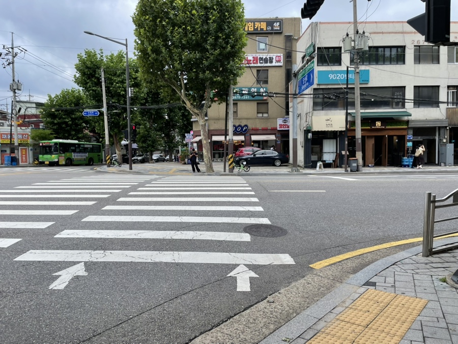 토리냥 사진 4