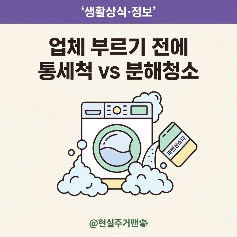 세탁조 청소 업체 부르기 전에 꼭 아세요 (분해청소 vs 통세척 비용)