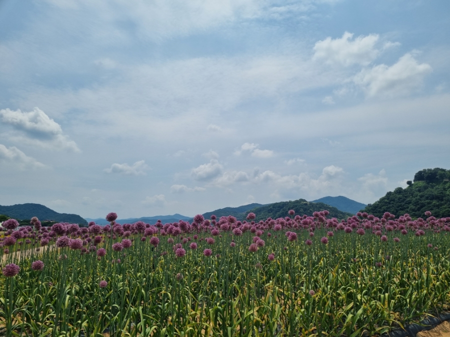 연미산자연미술공원 사진 2