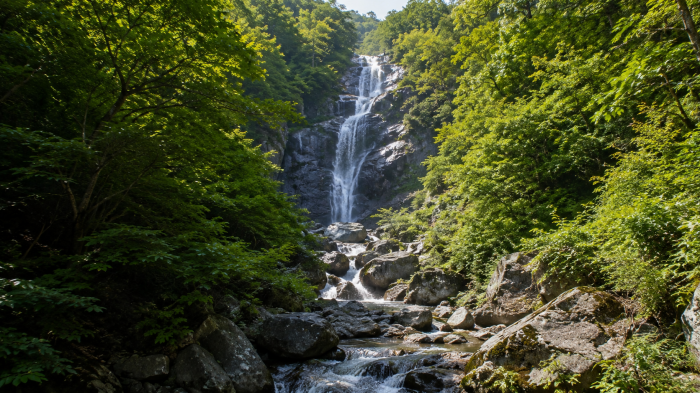 지리산 칠선계곡 예약｜하루 60명, 7개 폭포 지나 천왕봉 오르는 고난도 코스