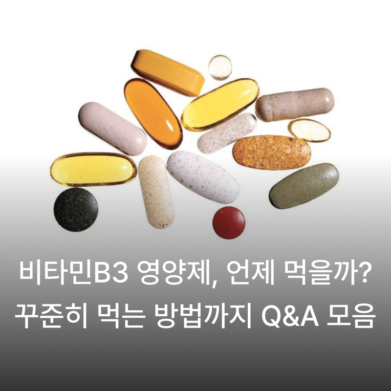 비타민B3 영양제, 언제 어떻게 먹을까? 복용 시간·꾸준히 먹는 방법까지 Q&A 모음