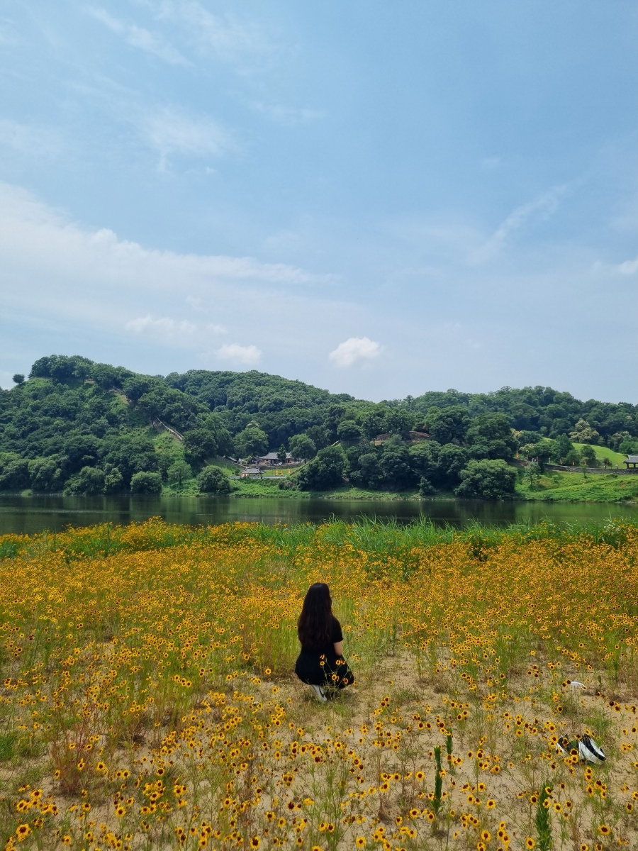 연미산자연미술공원 사진 5