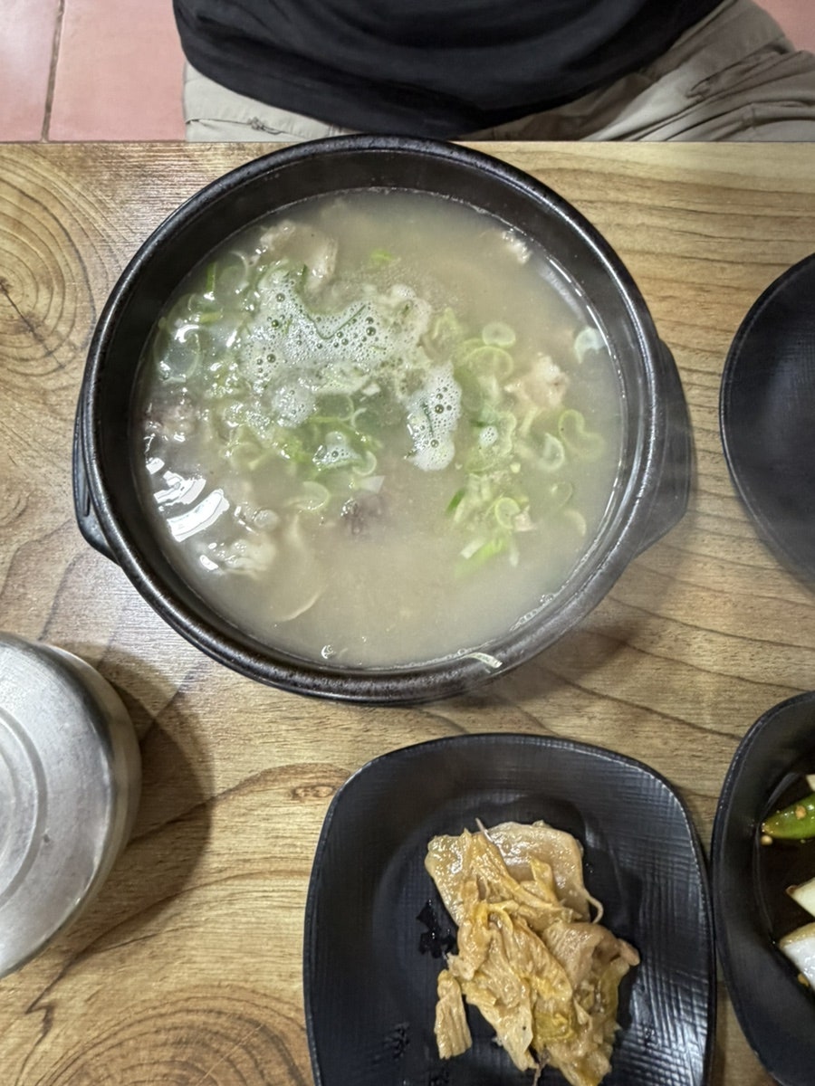 소풍 사진 6