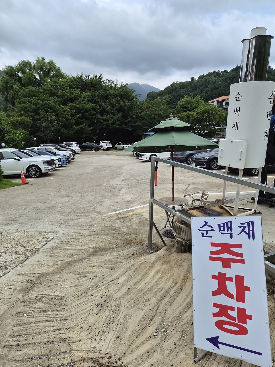 순백채 사진 2