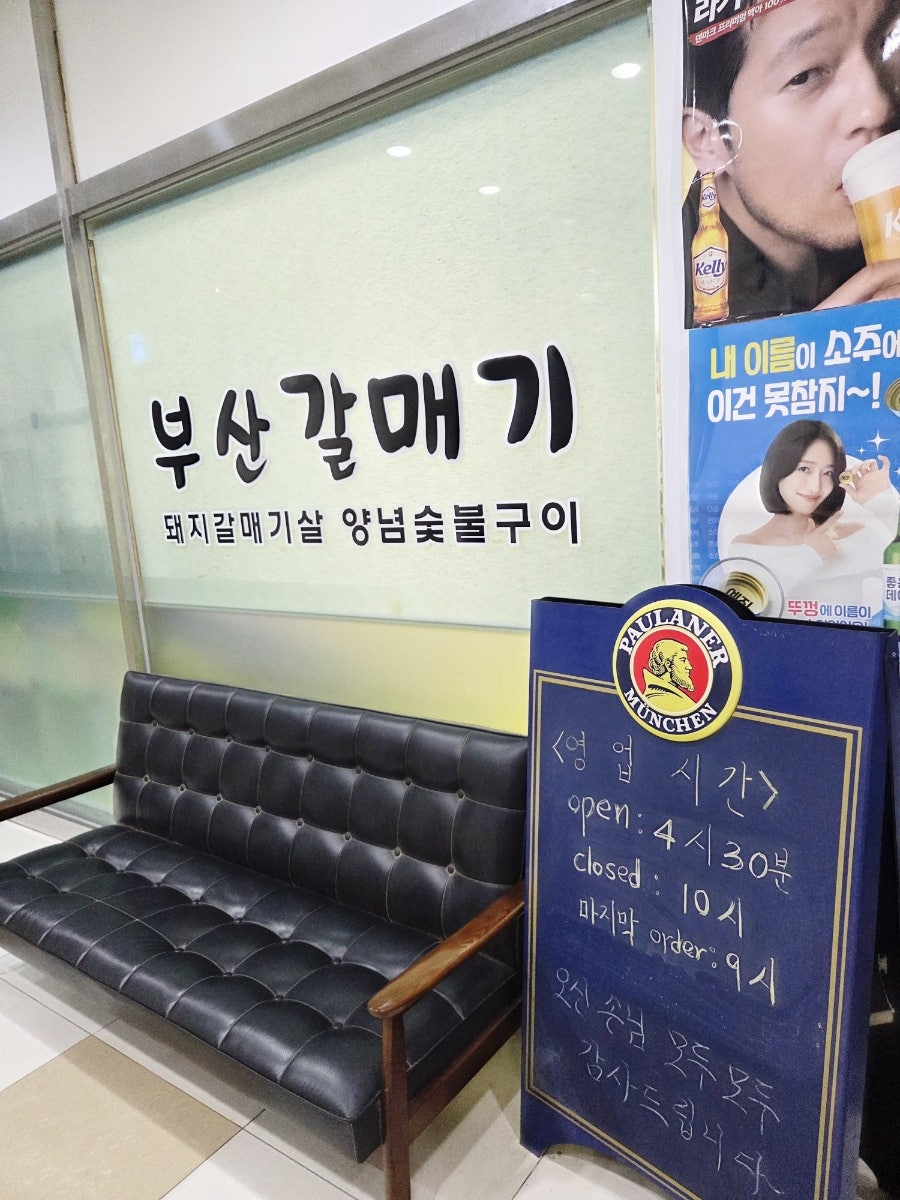 부산갈매기 사진 2
