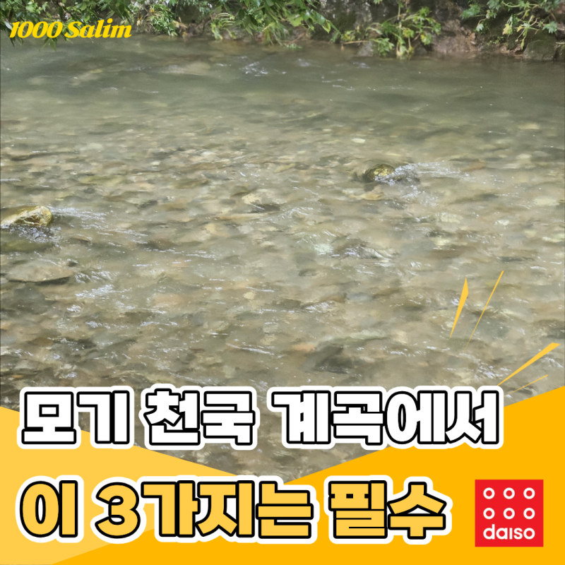 모기 많은 계곡에서도 끝까지 살아남은 다이소 모기퇴치 아이템 BEST 3