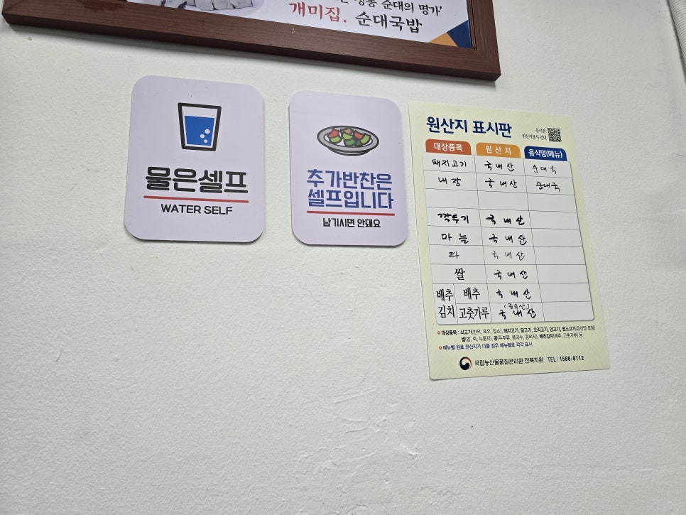 개미집 사진 4