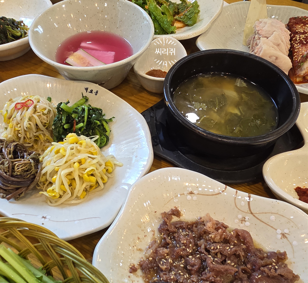 벽오동 사진 5