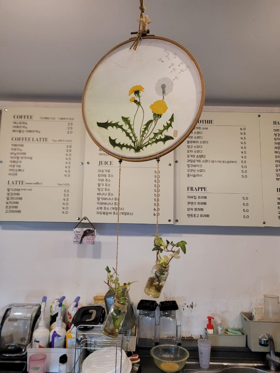 앙비떼 사진 5