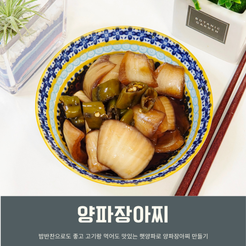 양파장아찌 만들기 레시피 간장 양념비율 양파 반찬 만드는법
