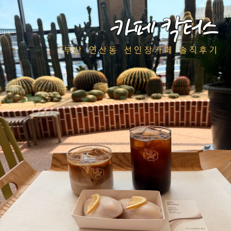 부산 이색 대형카페 추천 연산동 선인장 카페 칵터스 아기랑 방문 솔직후기